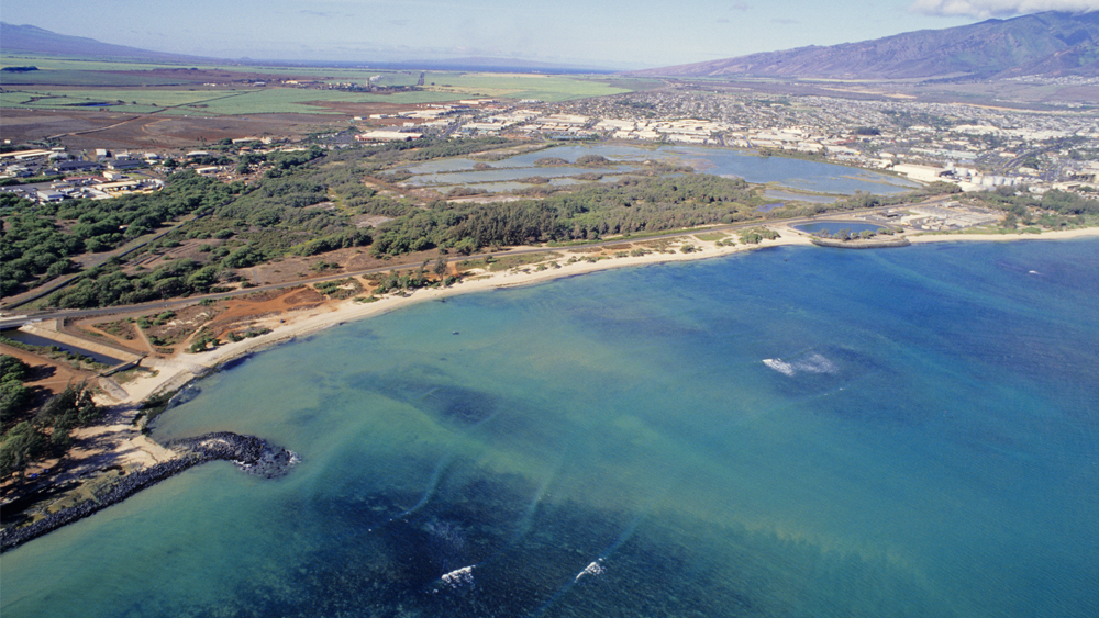 Aerial view of a coastline 